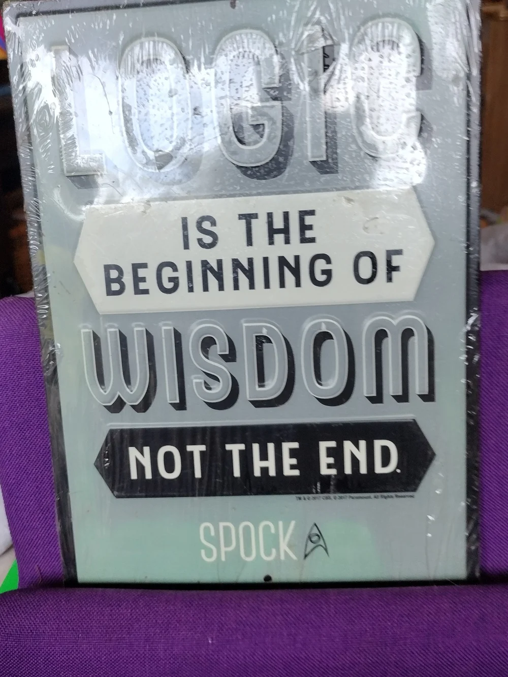 'Logic Is the Beginning of Wisdom' Wall Sign - Mint & Black